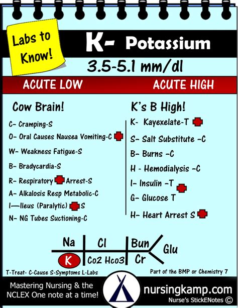 k lab values|importance of potassium lab.